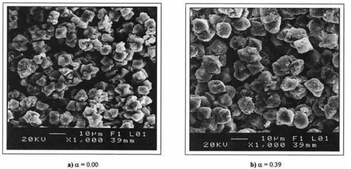Fig. 1. SEM micrographs of zinc nickel manganese oxalate Mn 0.782a Ni 0.22 Zn a C 2 O 4 z nH 2 O: (a) a 5 0.00, (b) a 5 0.39.