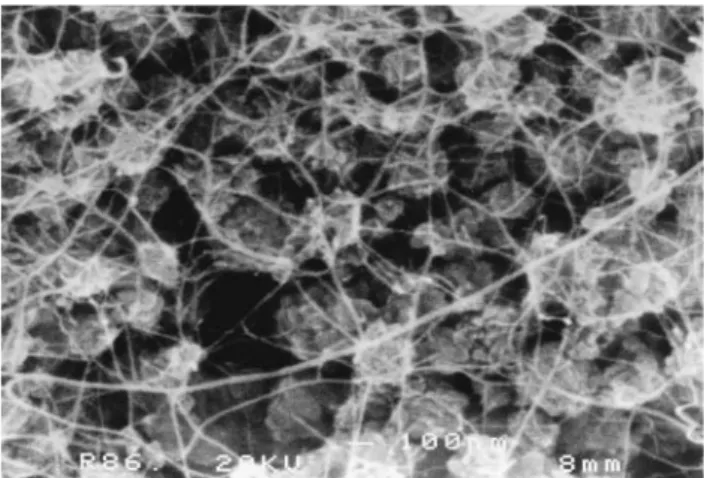 Fig. 1 SEM image of the carbon nanotube±Co±MgO composite powder.