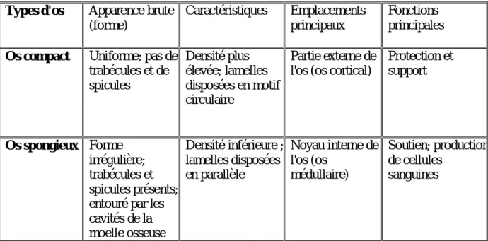 Tableau 3: Classification osseuse basée sur l'apparence brute (Cui et al. 2011). Types d'os Apparence brute