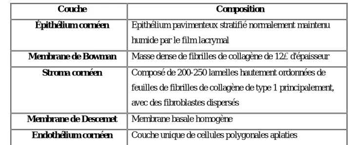 Tableau 4 : Les couches de la cornée (Vaughan, 2002).