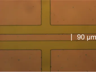 Figure 2.4 Optical microscope image of the patterned electrodes prior to the chemical wet etching step.
