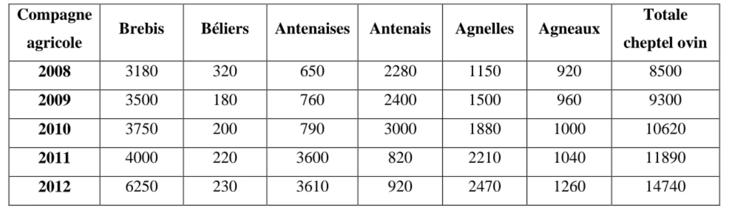 Tableau 10 : Effectif du cheptel ovin dans la commune de Seriana (D.S.A de Seriana, 2014)