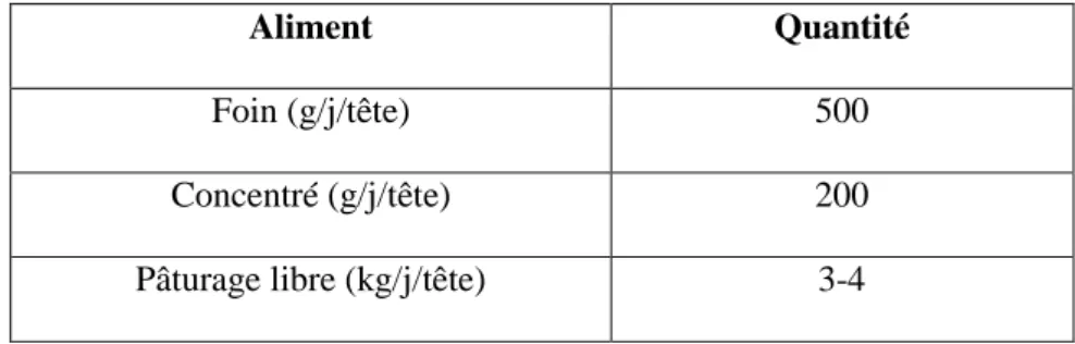 Tableau 11 : ration alimentaire consommée par les brebis. 