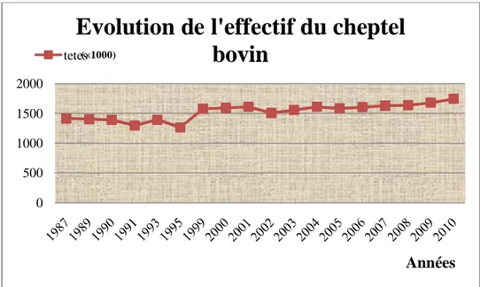 Figure n° 01 : Evolution de l’effectif du cheptel  bovin de 1987 à 2010 (MADR, 2010)0