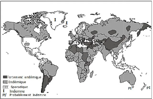 Figure 8 : Distribution g (And