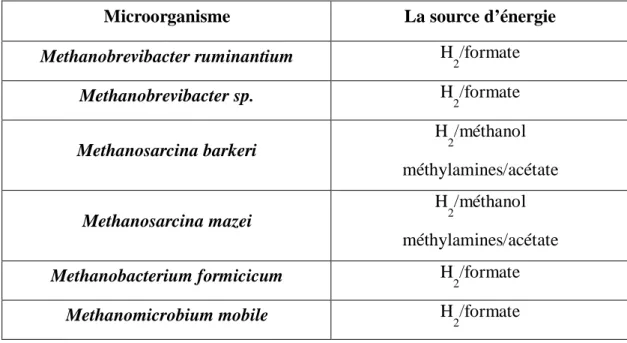 Tableau 3 : Méthanogènes isolés de rumen (Yanagita et al., 2000).