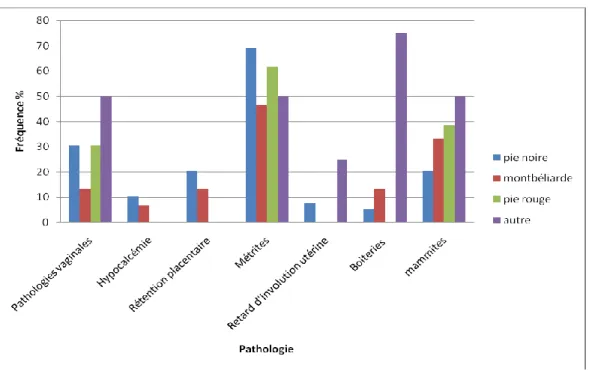 Figure N°29 :fréquences des pathologies du post partum selon la race 