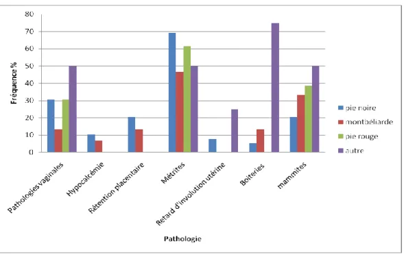 Figure N°29 :fréquences des pathologies du post partum selon la race 