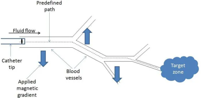 Figure 3-1 Schematic diagram of a general MRN procedure. 