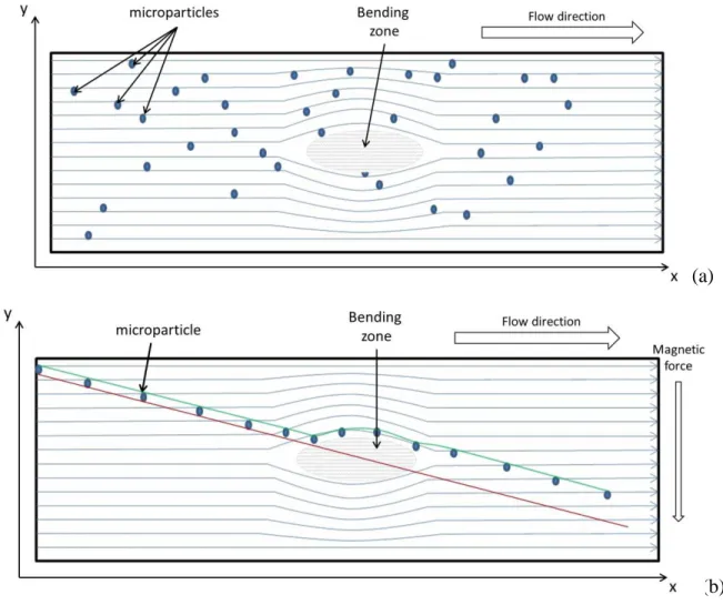 Figure  3-4.  In  addition,  the  negative  pressure  produced  by  the  use  of  the  syringe  pump  in  withdrawal mode increased the bending effect in the center of the magnetophoretic chamber