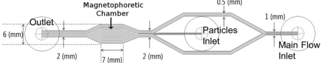 Figure 4-1 Schematic of the microfluidic device design. The complete device is  200  µm  deep
