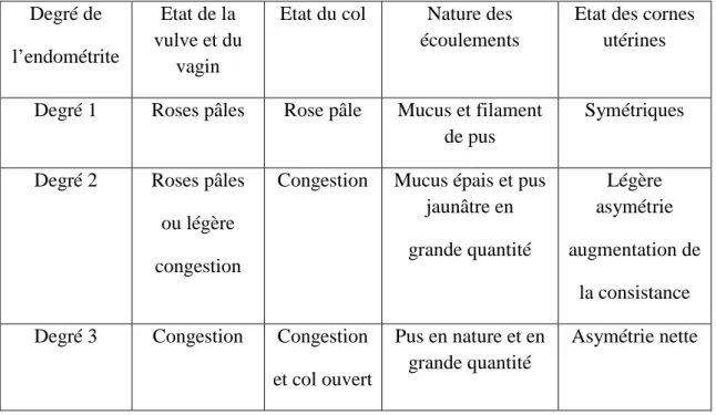 Tableau n°02 :  Classification des endométrites  (CHAFFAUX et al, 1991). 