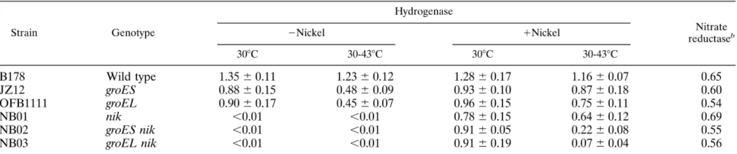 TABLE 1. Effects of groES and groEL mutations and nickel on NiFe-hydrogenase activities a