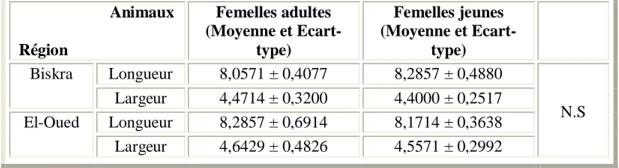Tableau 23 : Influence de l'âge des Dromadaires femelles sur la taille des hématies (N = 07).