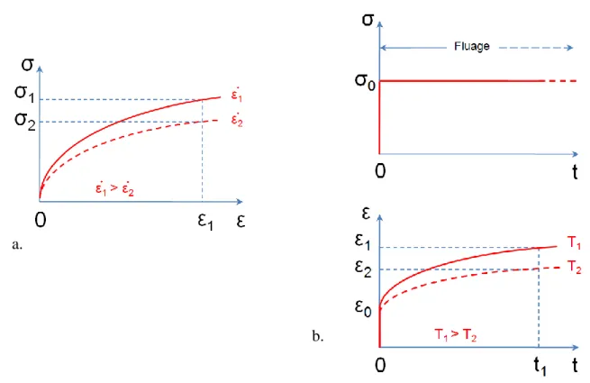 Figure  1.4  Schéma  du  comportement  d’un  matériau  viscoélastique  à  (a)  différents  taux  de  déformation et à (b) différentes températures