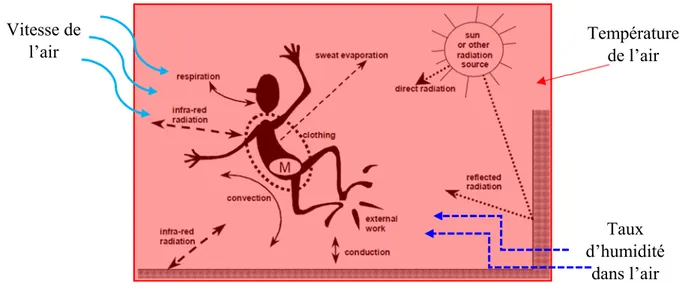 Figure 22: Modalités de transfert thermique entre l'individu et le milieu ambiant Source :  (Havenith, 2005).complétée par l’auteure.