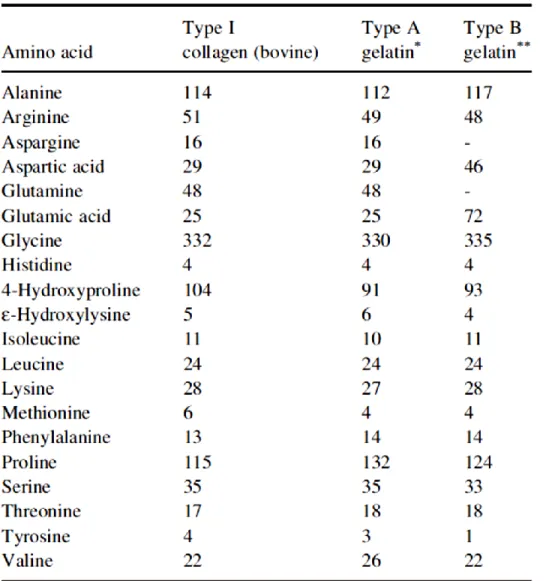 Table 2.4: Amino acid composition of collagen and gelatin per 1000 residues [25] 