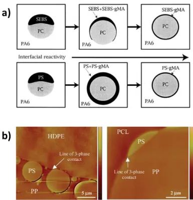 Figure 2.20: (a) Different morphology evolution patterns in PA6/SEBS/PC and PA6/PS/PC after  adding  SEBS-MA  and  PS-MA  respectively  (which  gradually  replace  SEBS  and  PS  in  the  two  systems)  as  interfacial  modifiers  (taken  from  Ref