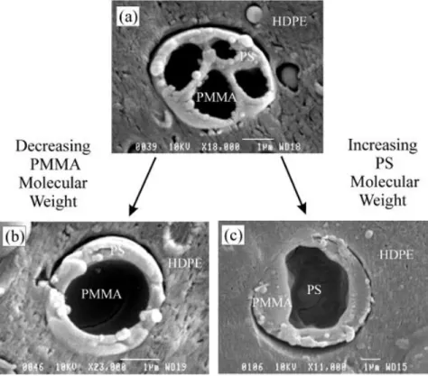 Figure 2.23: Effect of molecular weight on the morphology in ternary HDPE/PS/PMMA blends