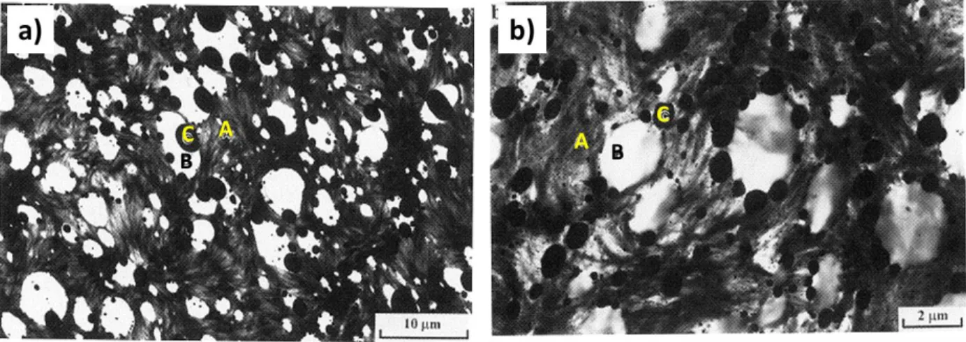 Figure 2.24: Morphology of the ternary blend of HDPE/PP/PS (70/20/10): (a) without SEB; (b)  with 1% SEB