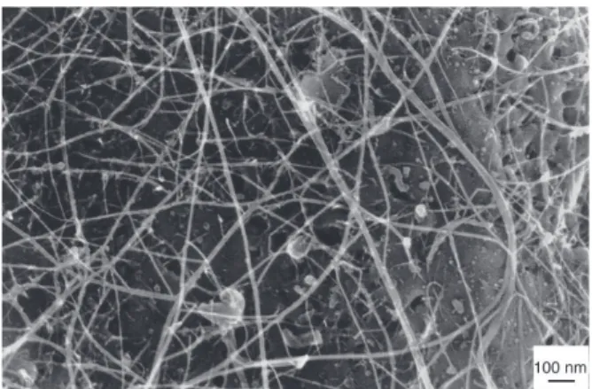 Fig. 7 Scanning electron microscopy image showing bundles of carbon nanotubes in a carbon nanotubeÈFeÈAl composite