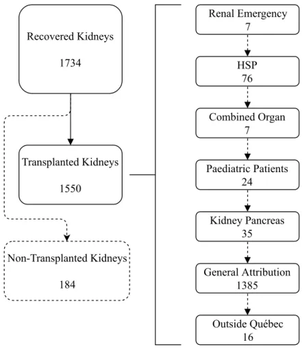 Figure 5.1 Numbers of kidneys recovered, transplanted and attributed in the different priority lists in Québec between 2012-03-29 and 2017-12-13.