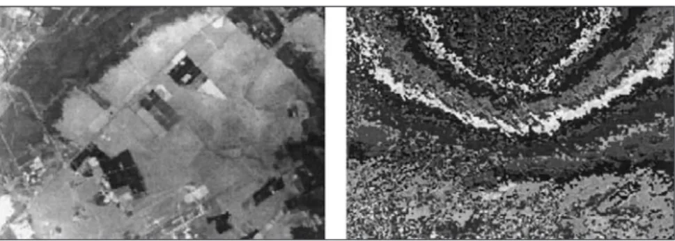 Figure 13 - Images obtenues par Polder  au-dessus de la plaine de La Crau (juin 1990)