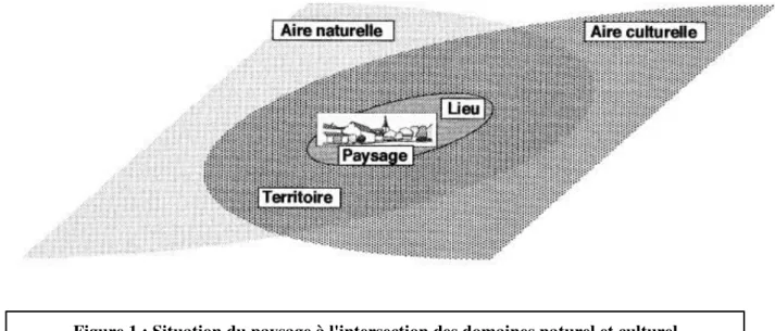 Figure 1 : Situation du paysage à l'intersection des domaines naturel et culturel 