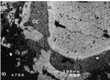 Fig. 7. Fragments of a 6-week implanted cylinder ( w) separated by bone trabeculae showing cemented lines ( ) probably indicating the start of the growth period