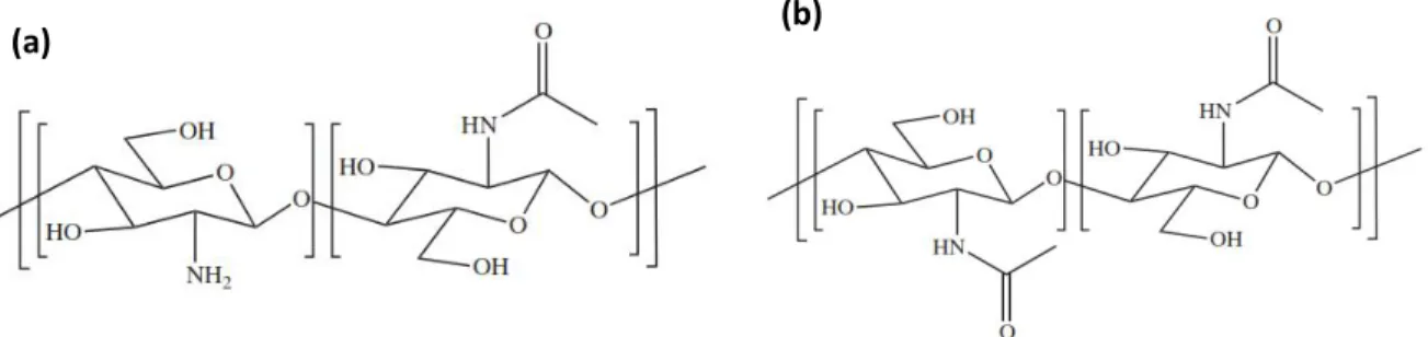 Figure 2.1: Structures of CS and chitin. a) CS, b) chitin [36].