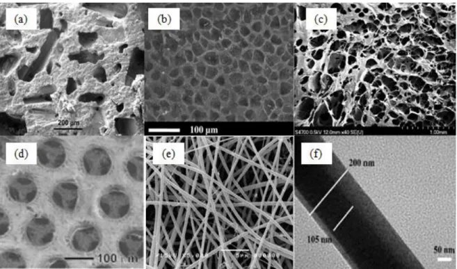 Figure 2.4: Typical CS constructs fabricated using various scaffolding techniques (a) scanning  electron microscope (SEM) image of CS scaffold by solvent-casting