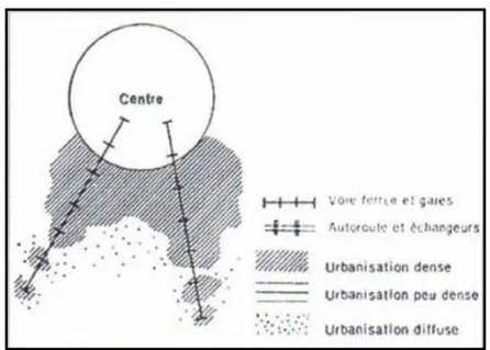 Figure 10 : Forme d'urbanisation guidée par des voies ferrées