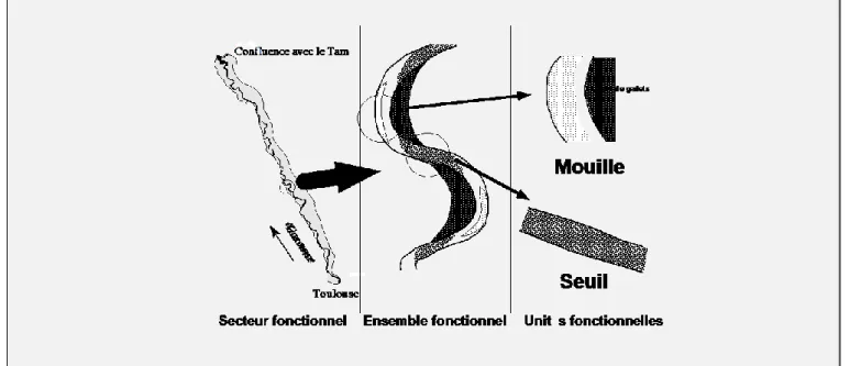 FIG. 2 : Les échelles spatiales selon le concept des hydrosystèmes fluviaux. 