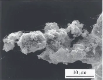 Fig. 8 SEM image of the nanocomposite powder prepared by Fig. 7 DS/C