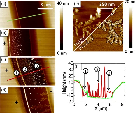 Figure 4.2 AFM images of eumelanin thin films between Au electrodes (L = 6 µm) a) before electrical biasing and b–d) after biasing at 1 V for increasing times