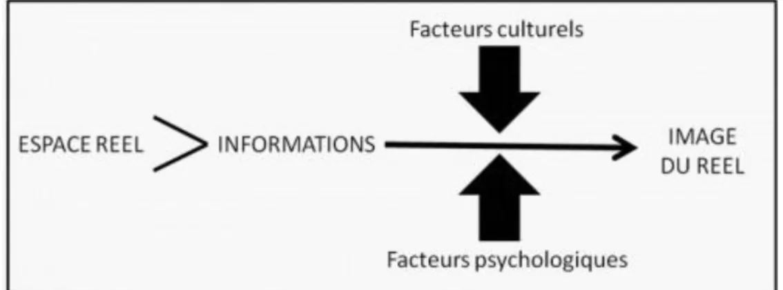 Fig 04 : Processus de Formation de l'image d’un espace  source : J.M. Doherty 1969 