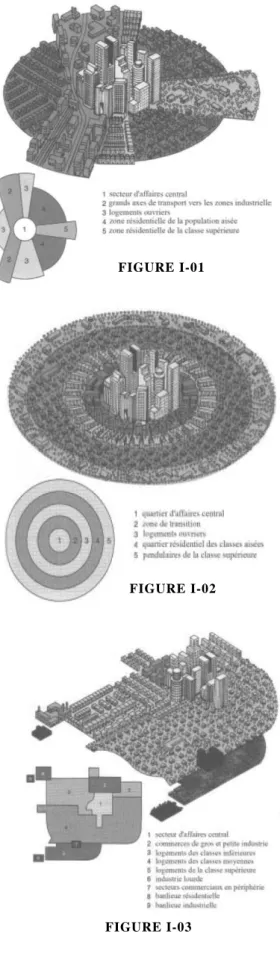 Figure N°1-1: Types de la croissance continue polaire  (secteur) 