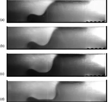 Figure 5 :   Lateral views of experiment 3. (a)  After 5mn 52s of experiment, the light part of  the plate is arriving at trench