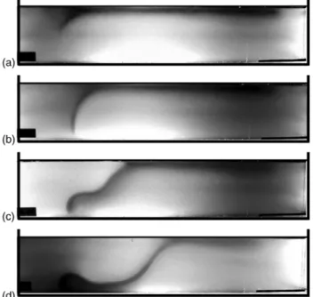Figure 3: Lateral view of experiment 1. (a)  Beginning of the experiment. Subduction is  starting