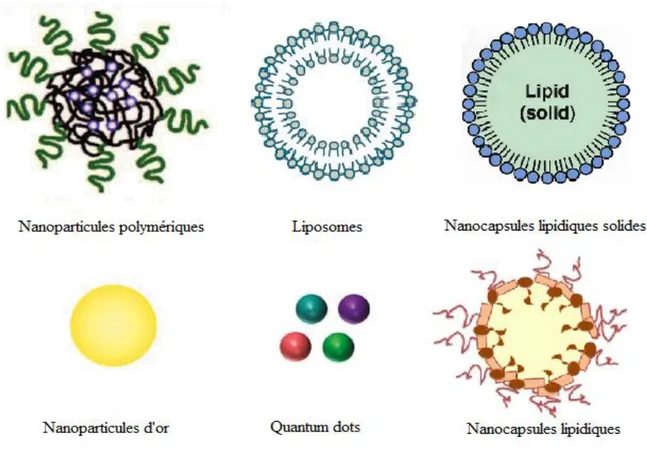 Figure 2.4: Les différentes types de nanoparticules utilisés pour la délivrance de PA (d’après  [47]) 