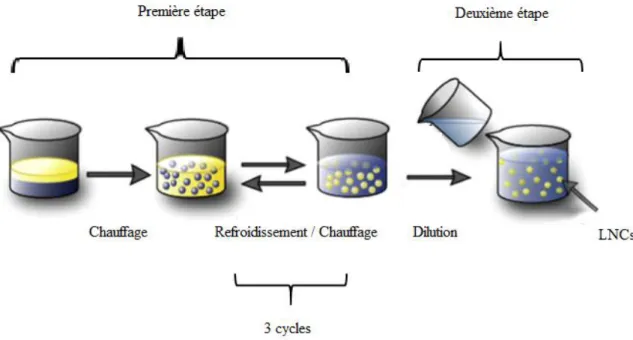 Figure 2.6: Préparation des LNCs par la méthode PIT (d’après [77])  2.3.2  Applications des LNCs 