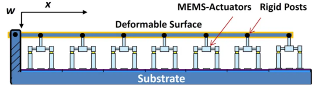 Figure 1.2 Deformable micro-beam [14]
