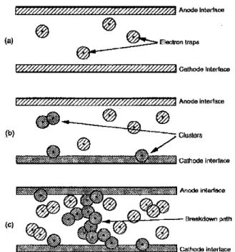 Figure II-3 : Formation du chemin de conduction à travers l'isolant (d'après 31). 