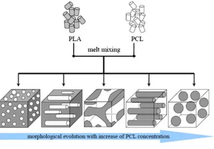 Figure  2.1-11  Schematic  diagrams  of  the  morphological  evolution  for  the  PLA/PCL  blend  with  increasing  PCL  concentrations