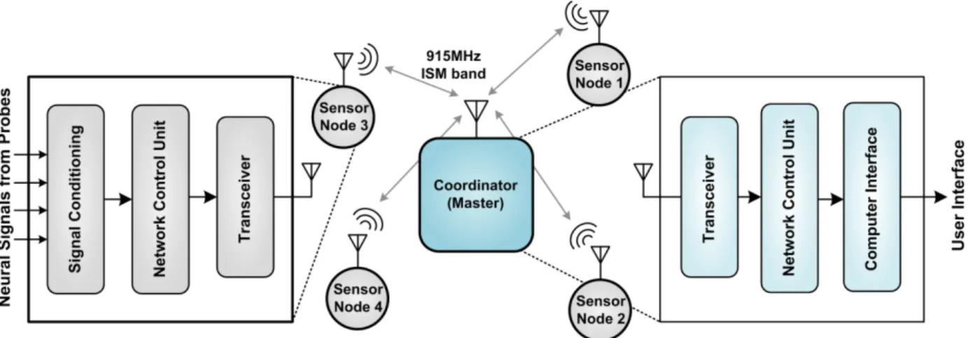 Figure  1.2: The simplified Brain-ASNET, sensor node, and coordinator architectures 