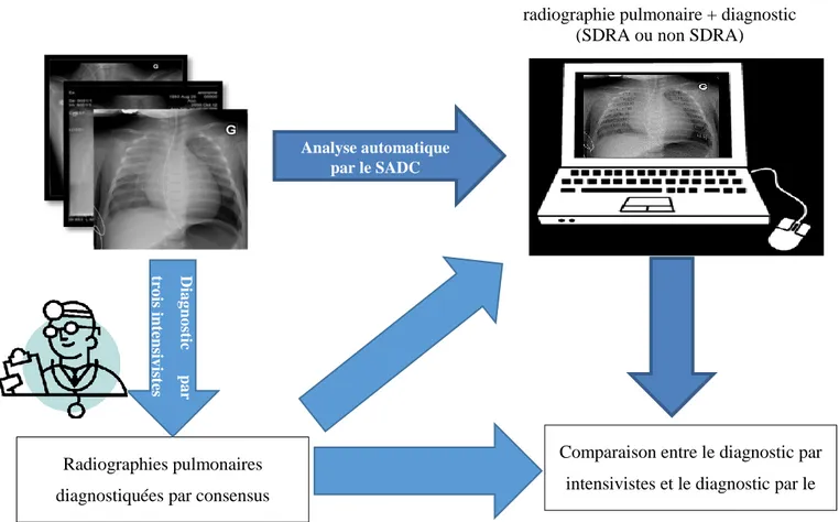 Figure 3.1 : Approche globale du projet 