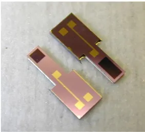 Figure 2: picture of the pH-ISFEC silicon chips 