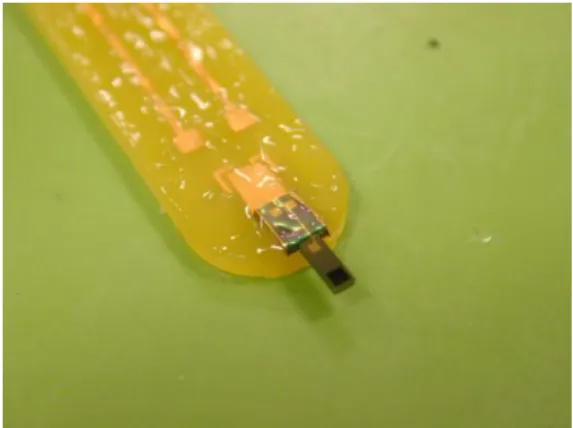 Figure 3: silicone encapsulation of the pH-ISFECs 