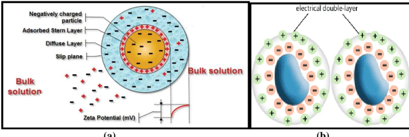 Figure 2.9 a) Potential energy of the interaction; b) the schematic of electric double layer between  two particles (adapted from [98])