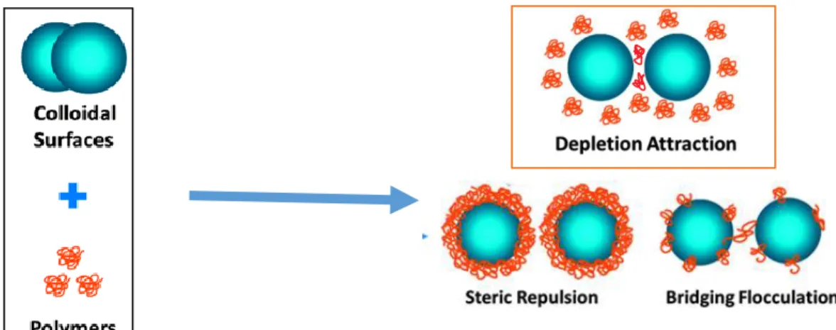Figure 2.10.Stabilization of a colloidal system by a polymer  (adapted from [101]). 